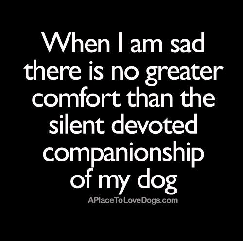 Dog Quotes 02