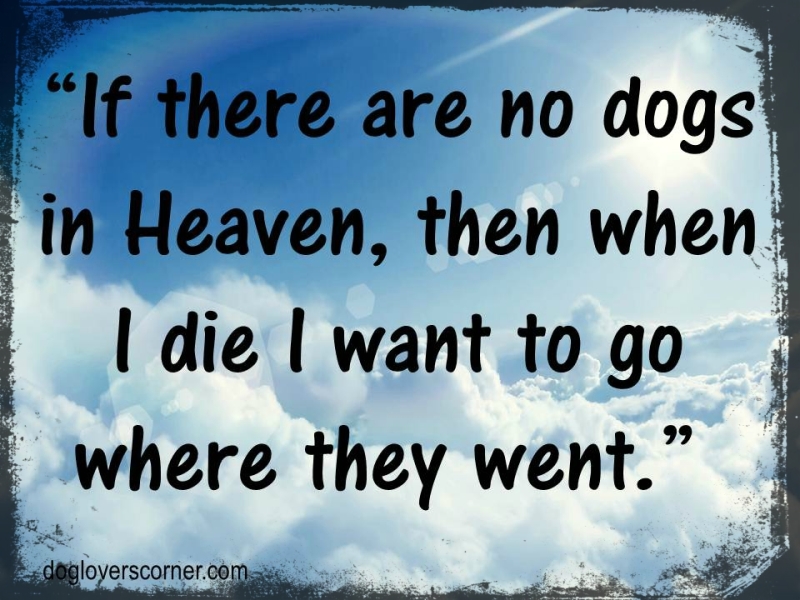 Dogs in heaven